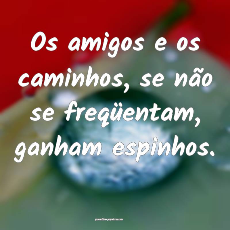 Os amigos e os caminhos, se não se freqüentam, ganham espinhos.
...