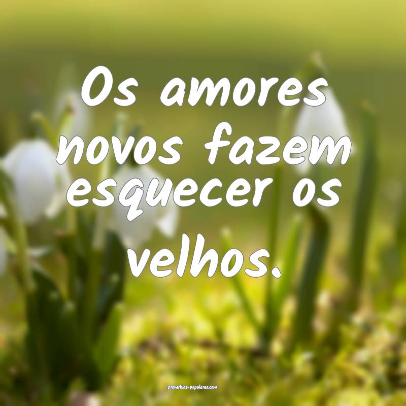 Os amores novos fazem esquecer os velhos.
...