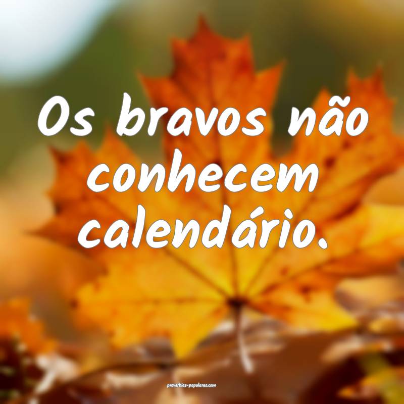 Os bravos não conhecem calendário.
...