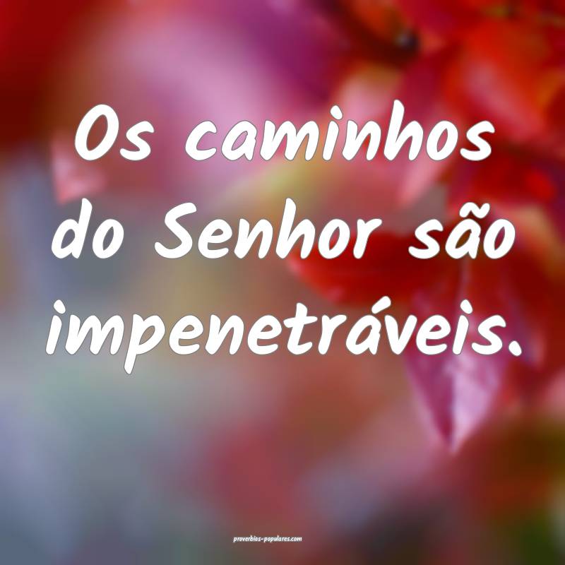 Os caminhos do Senhor são impenetráveis.
 ...