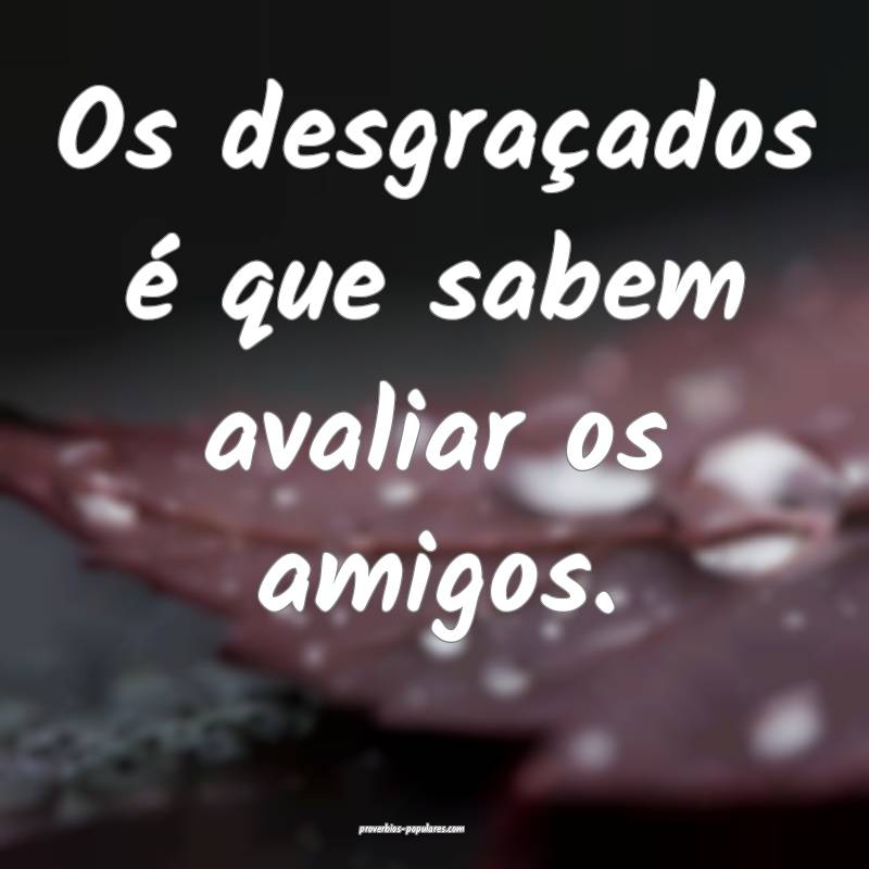 Os desgraçados é que sabem avaliar os amigos.
...