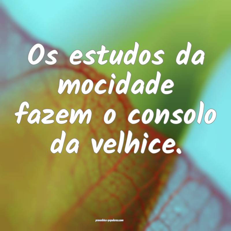 Os estudos da mocidade fazem o consolo da velhice.
...