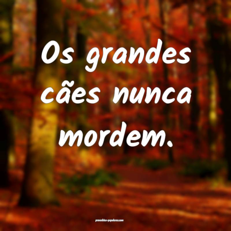 Os grandes cães nunca mordem.
 ...