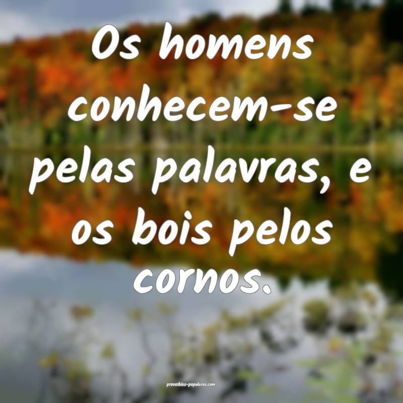 Os homens conhecem-se pelas palavras, e os bois pelos cornos.
...