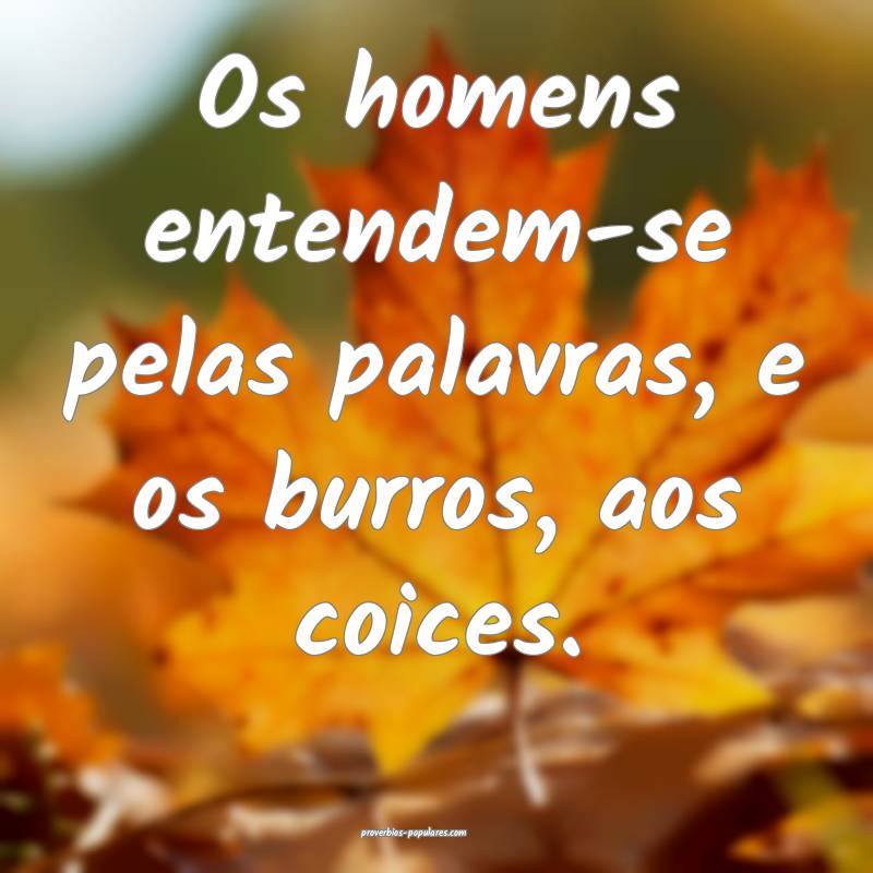 Os homens entendem-se pelas palavras, e os burros, aos coices.
...