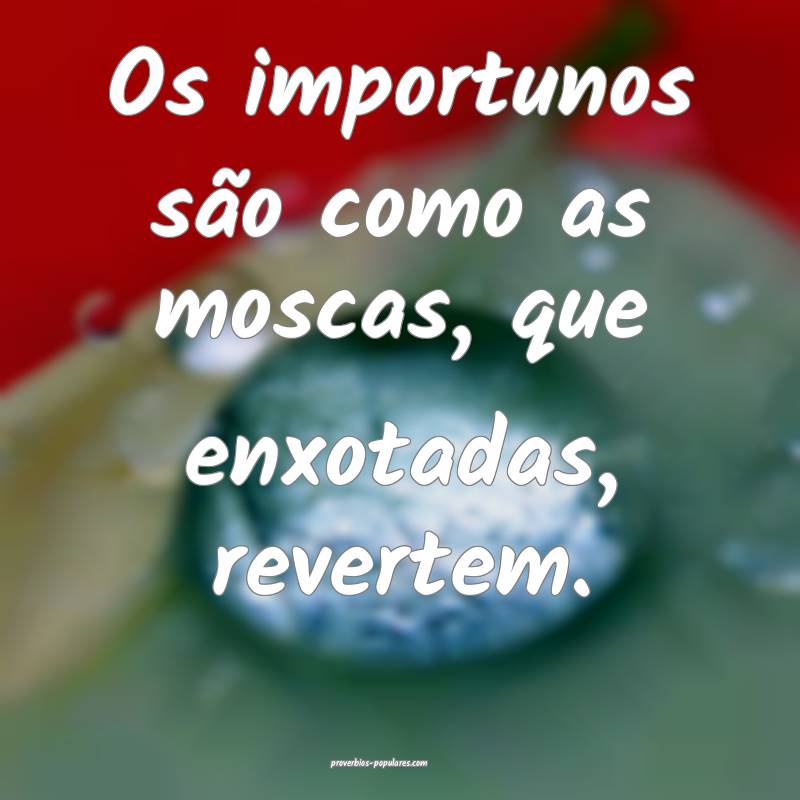 Os importunos são como as moscas, que enxotadas,  ...