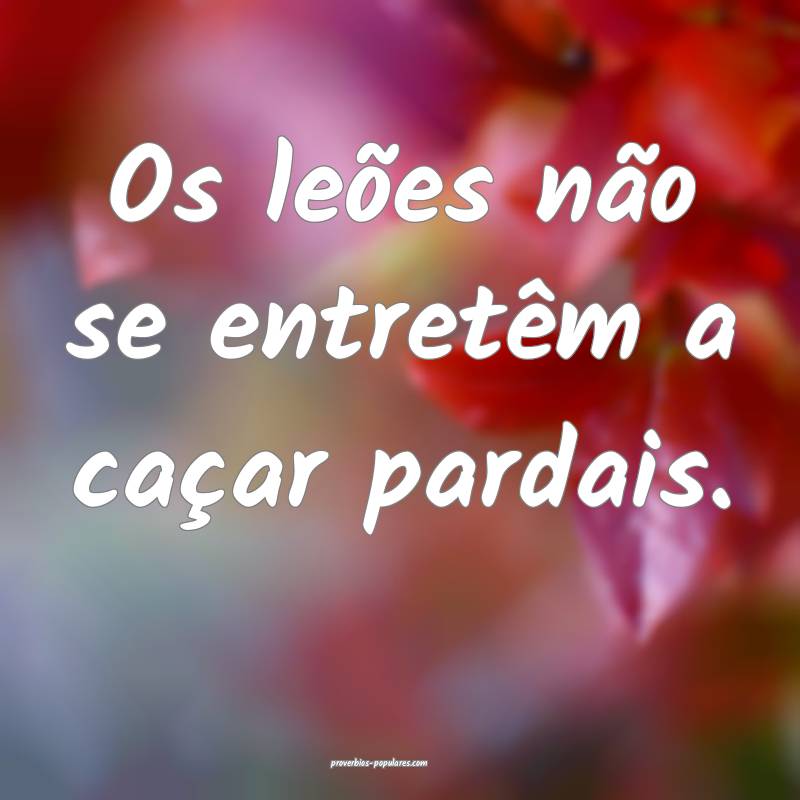 Os leões não se entretêm a caçar pardais.
...