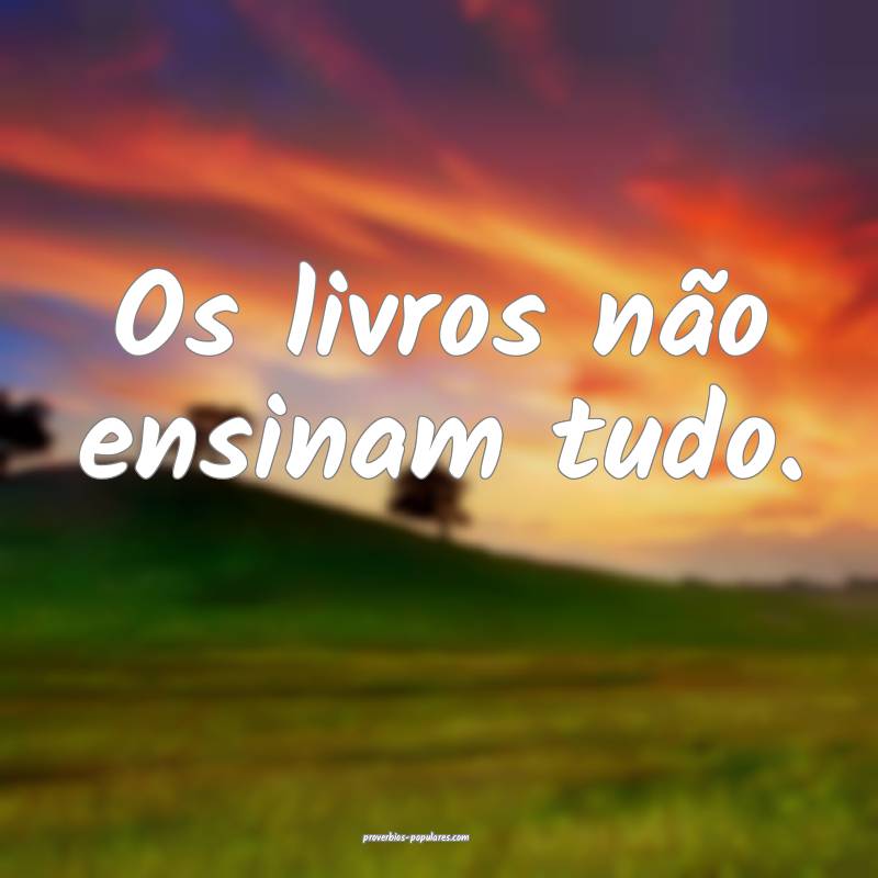 Os livros não ensinam tudo.
...