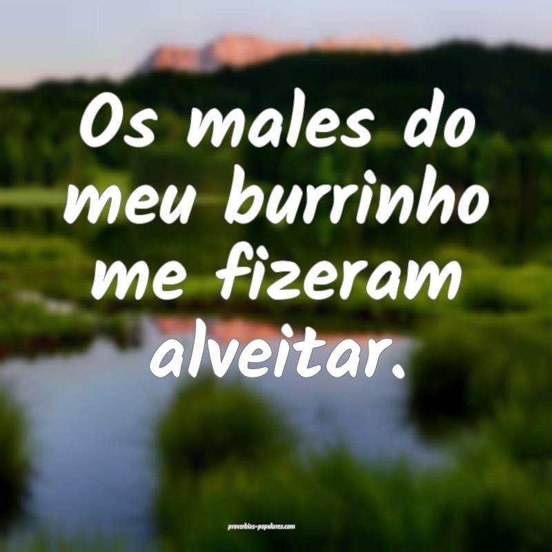 Os males do meu burrinho me fizeram alveitar.
...