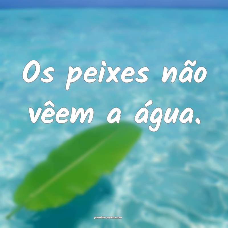 Os peixes não vêem a água.
...