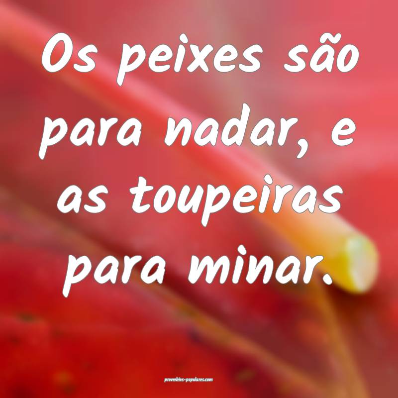Os peixes são para nadar, e as toupeiras para min ...