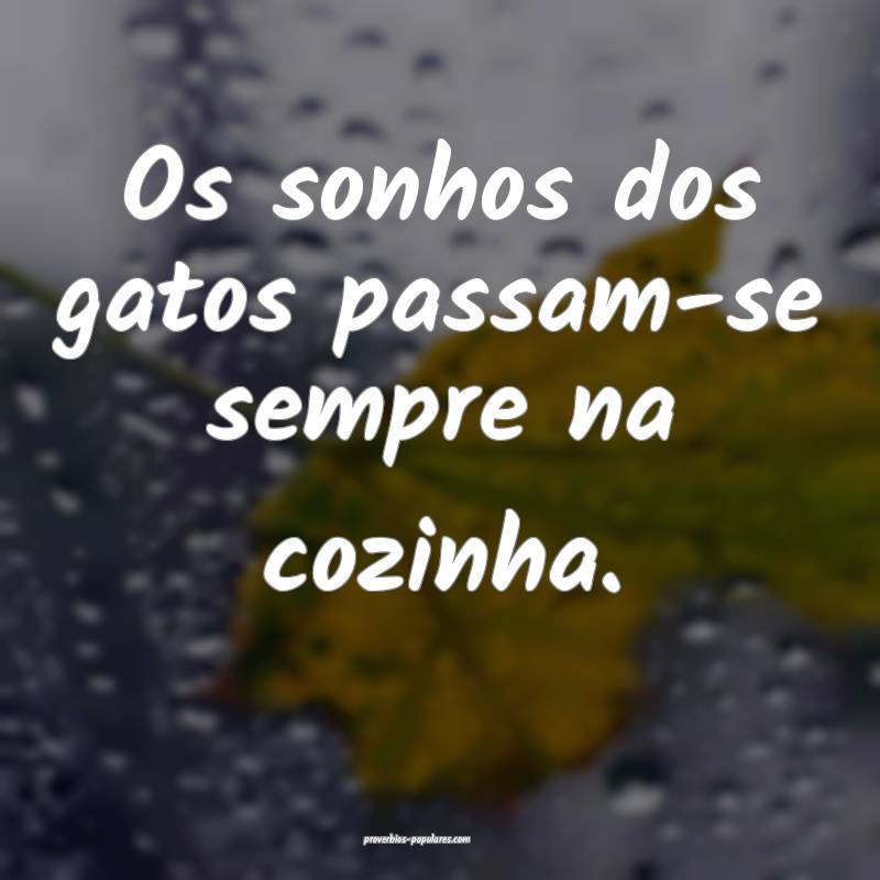 Os sonhos dos gatos passam-se sempre na cozinha.
...