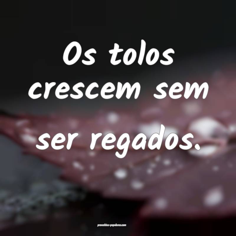 Os tolos crescem sem ser regados.
...