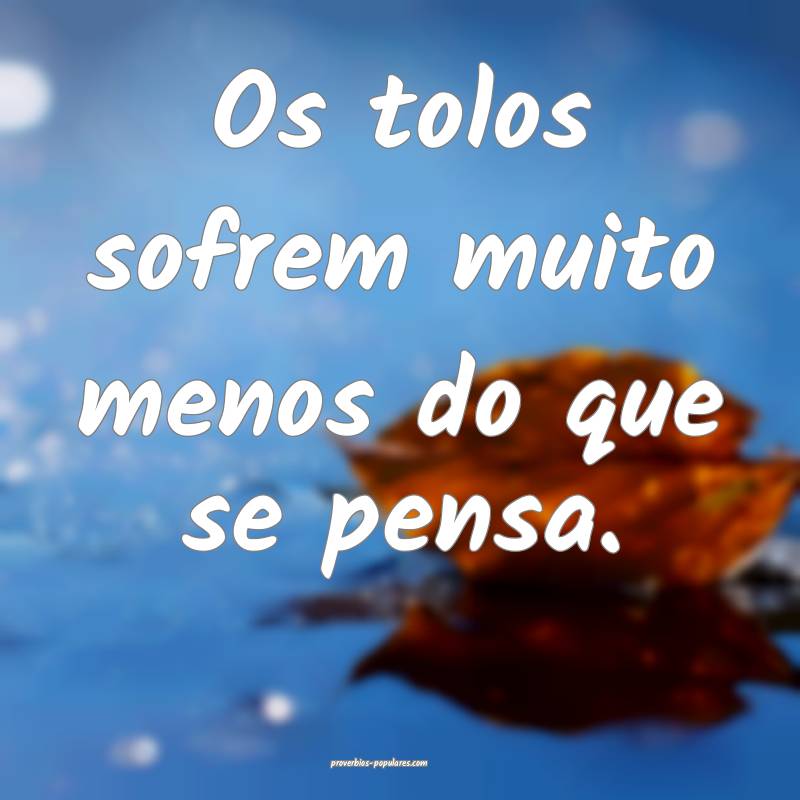 Os tolos sofrem muito menos do que se pensa.
...