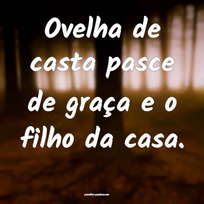 Ovelha de casta pasce de graça e o filho da casa.
...