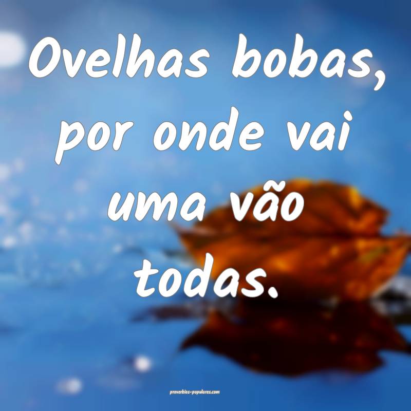 Ovelhas bobas, por onde vai uma vão todas.
 ...