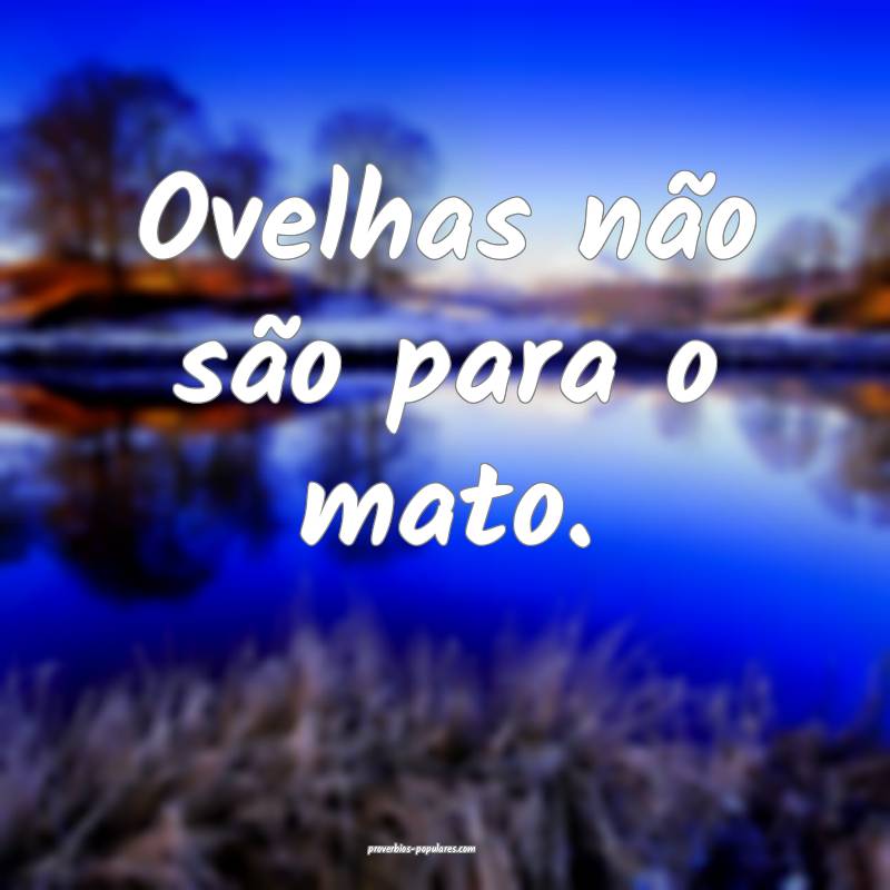 Ovelhas não são para o mato.
...