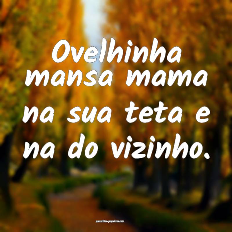Ovelhinha mansa mama na sua teta e na do vizinho.
 ...