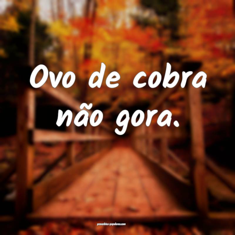 Ovo de cobra não gora.
 ...