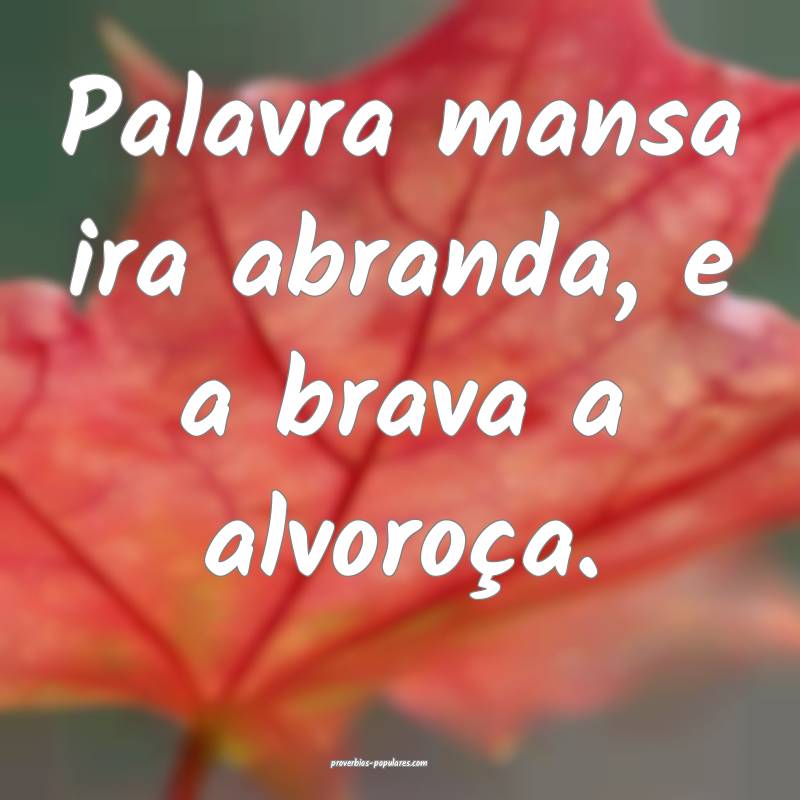 Palavra mansa ira abranda, e a brava a alvoroça.
...