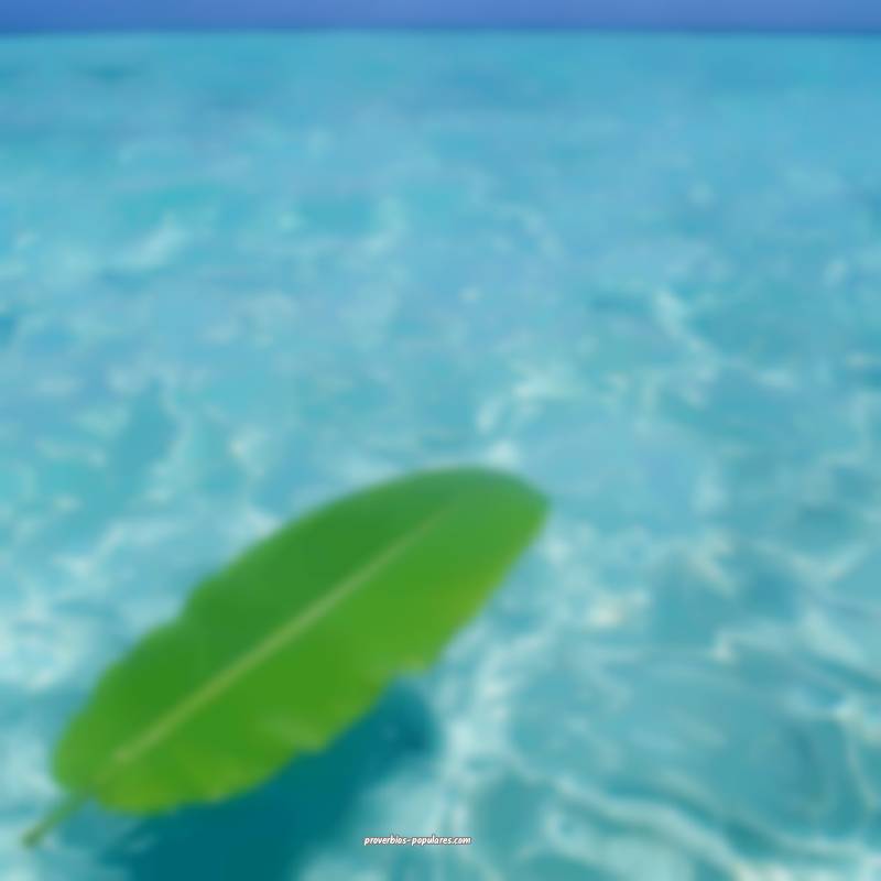 Pão e vinho, um ano meu, outro do vizinho.
...