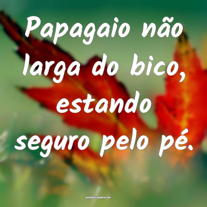 Papagaio não larga do bico, estando seguro pelo pé.
...