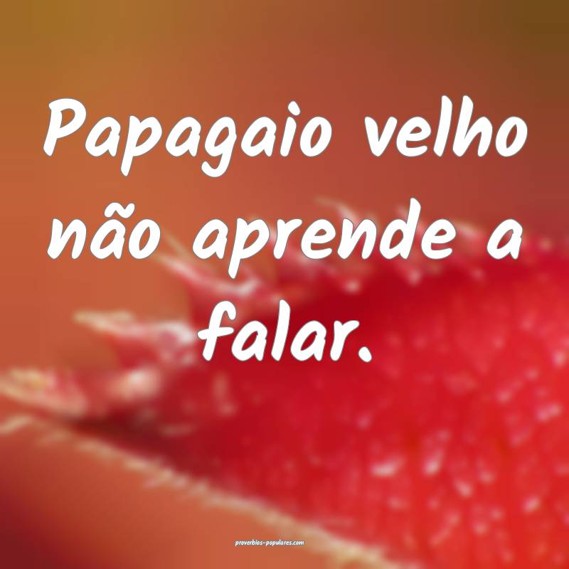 Papagaio velho não aprende a falar.
...