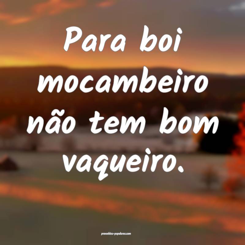 Para boi mocambeiro não tem bom vaqueiro.
 ...