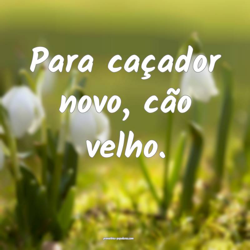 Para caçador novo, cão velho.
 ...