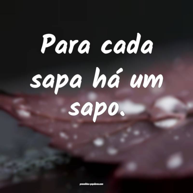 Para cada sapa há um sapo.
 ...