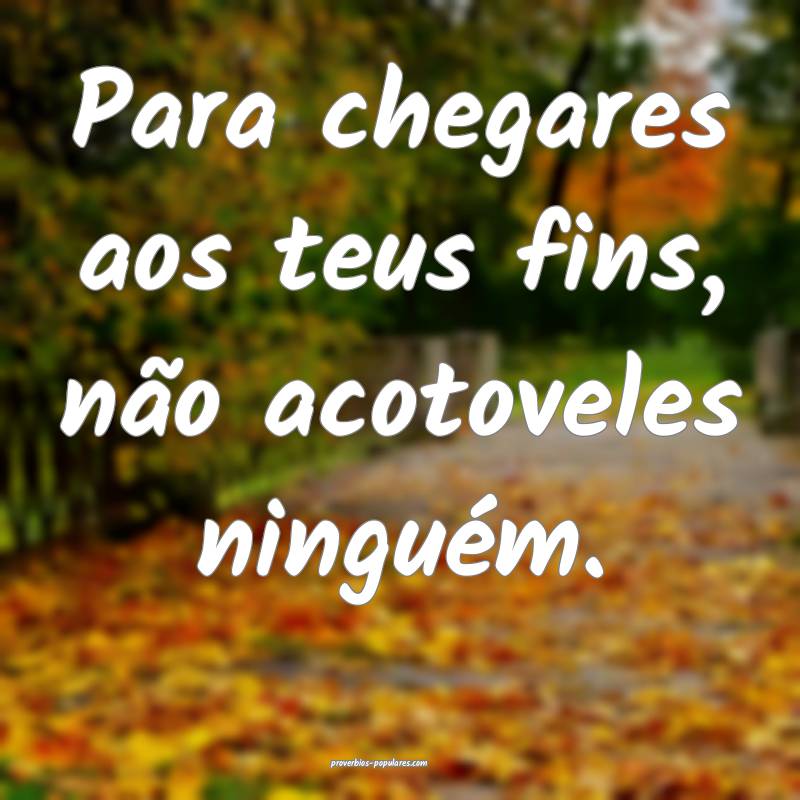 Para chegares aos teus fins, não acotoveles ninguém.
...