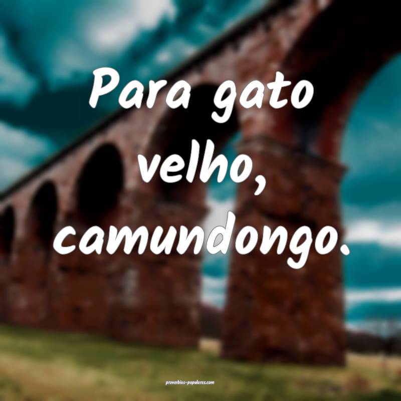 Para gato velho, camundongo.
 ...