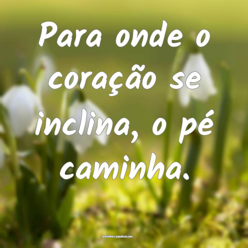 Para onde o coração se inclina, o pé caminha.
 ...