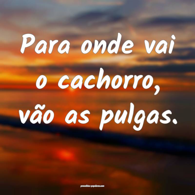 Para onde vai o cachorro, vão as pulgas.
 ...