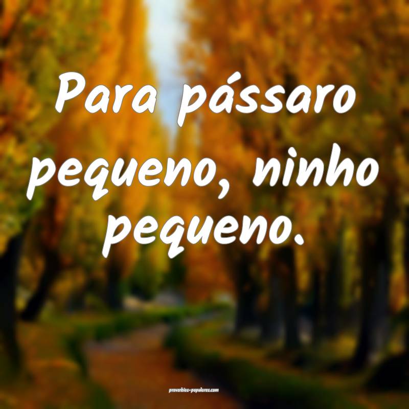 Para pássaro pequeno, ninho pequeno.
...