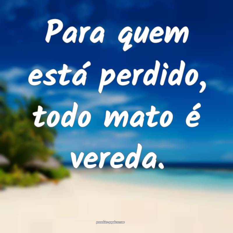 Para quem está perdido, todo mato é vereda.
...