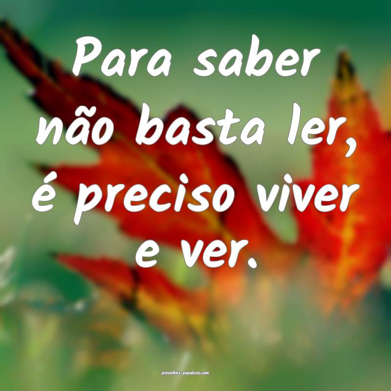 Para saber não basta ler, é preciso viver e ver.
...