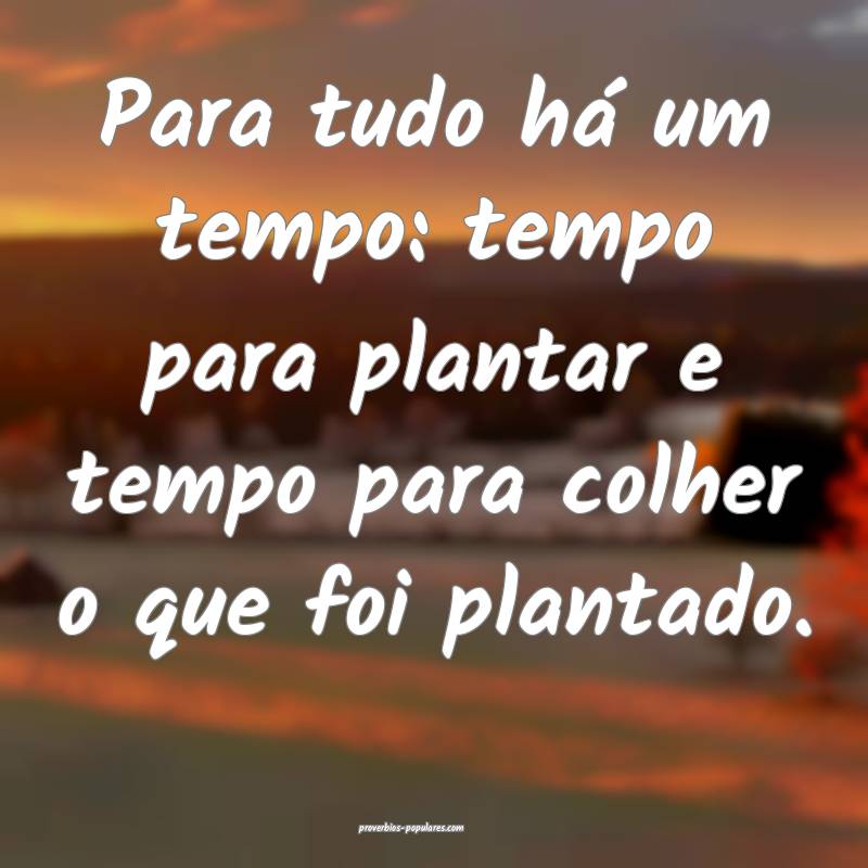 Para tudo há um tempo: tempo para plantar e tempo para colher o que f...