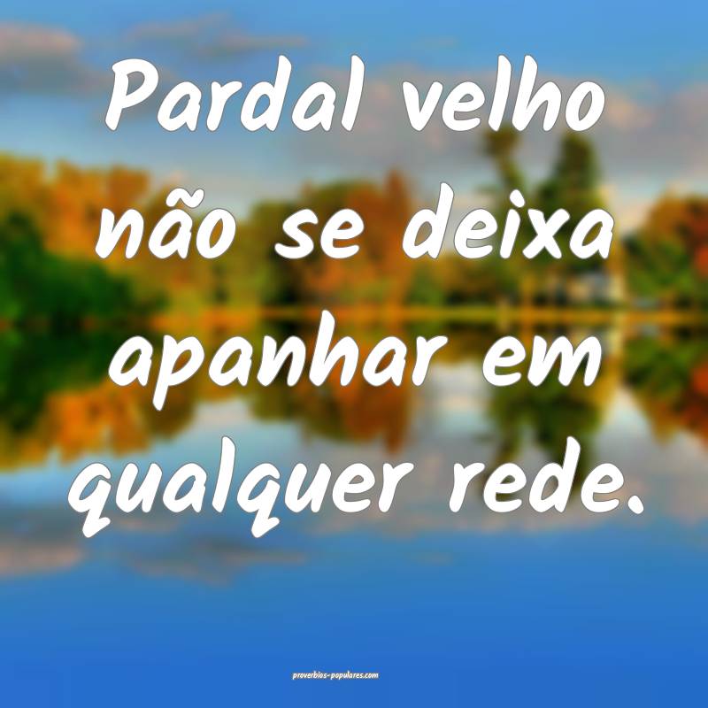 Pardal velho não se deixa apanhar em qualquer rede.
...
