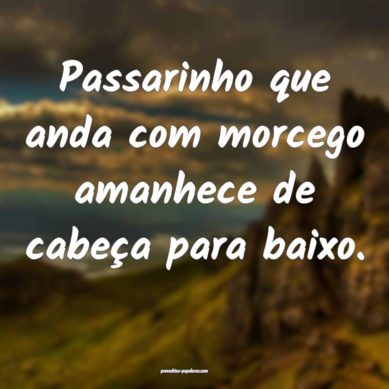 Passarinho que anda com morcego amanhece de cabeç ...