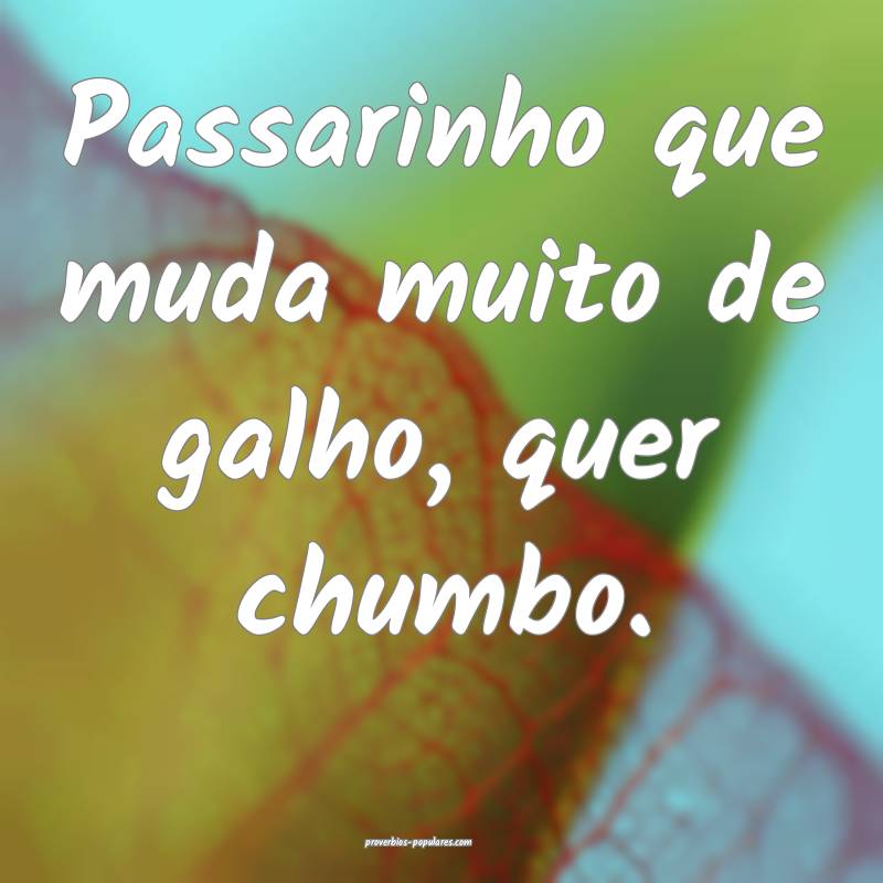 Passarinho que muda muito de galho, quer chumbo.
...