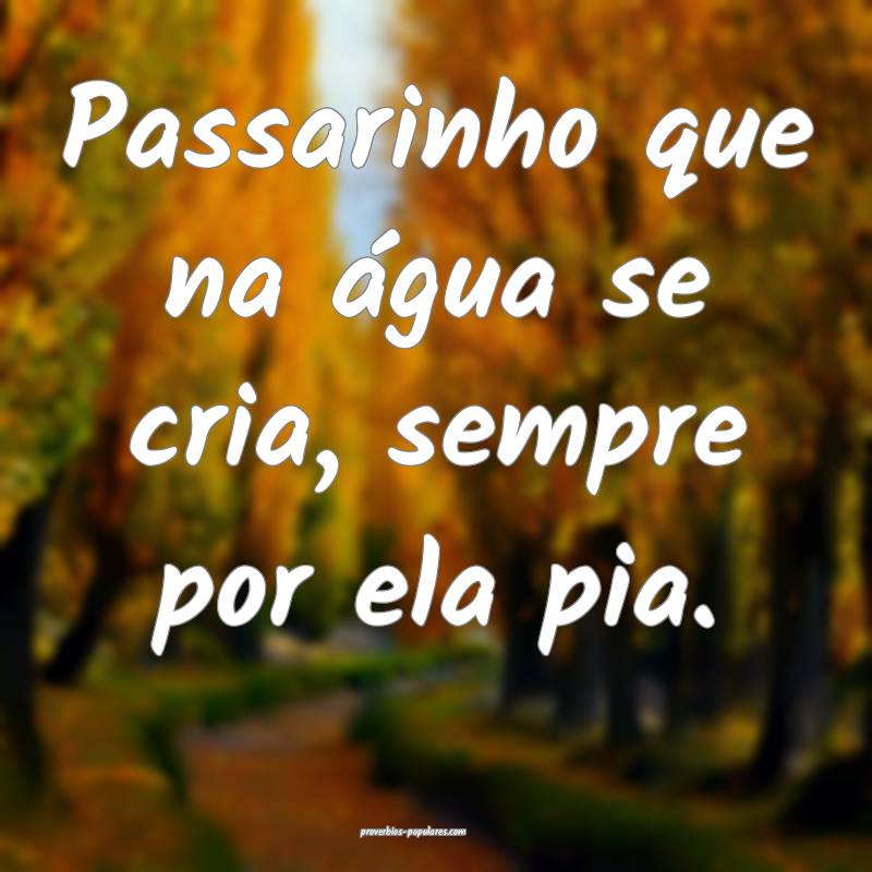 Passarinho que na água se cria, sempre por ela pi ...