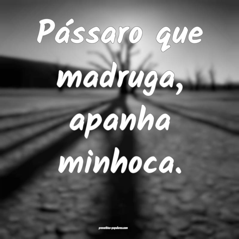 Pássaro que madruga, apanha minhoca.
...