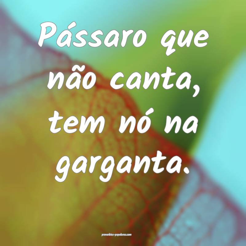 Pássaro que não canta, tem nó na garganta.
...