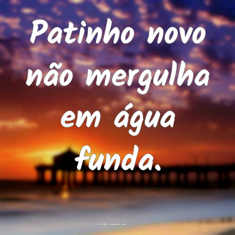 Patinho novo não mergulha em água funda.
 ...