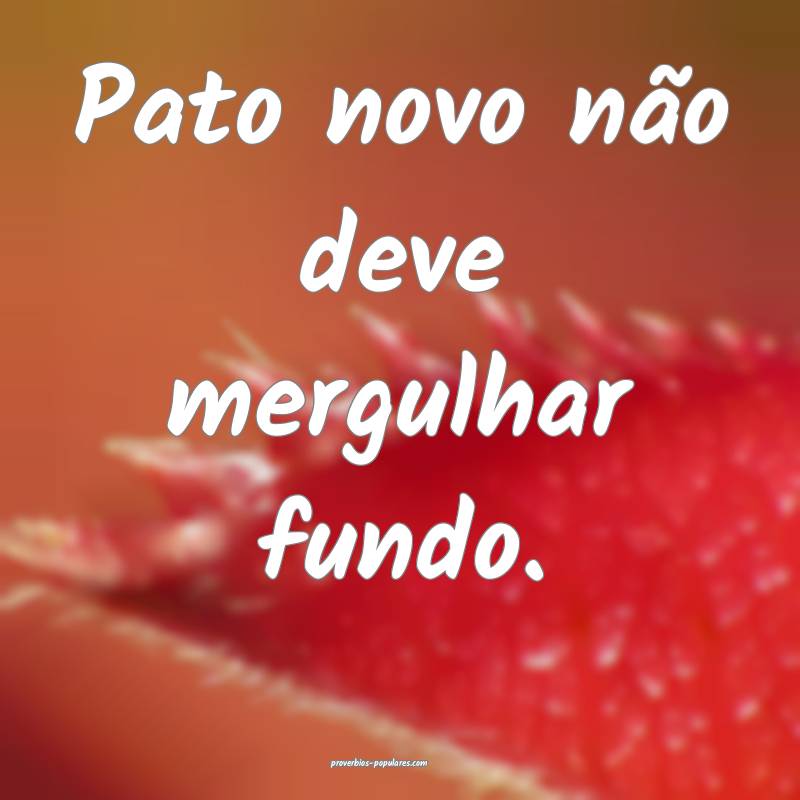 Pato novo não deve mergulhar fundo.
 ...