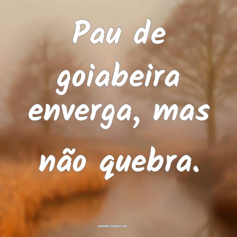 Pau de goiabeira enverga, mas não quebra.
...