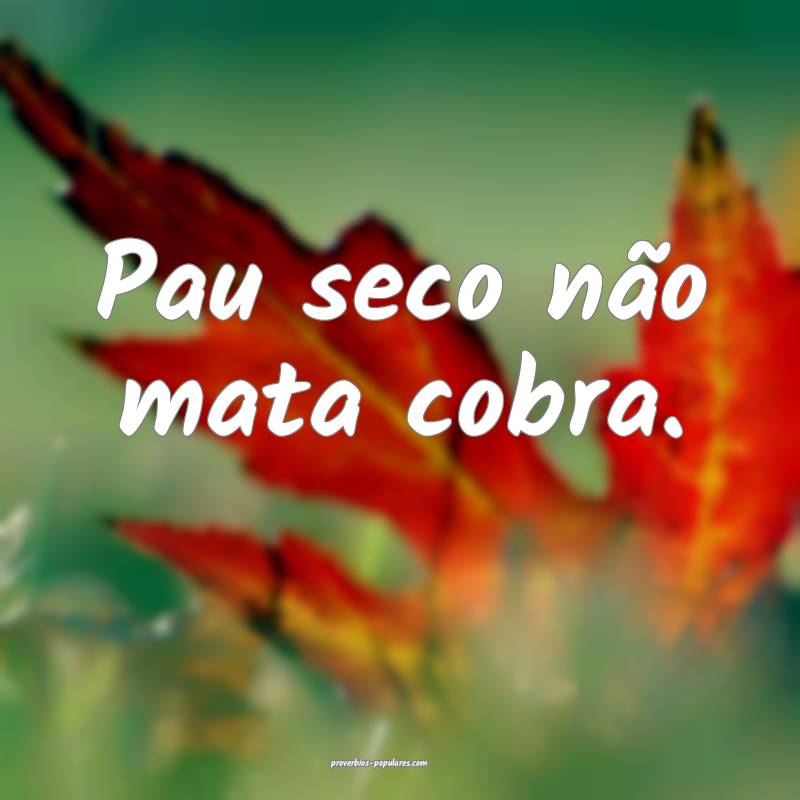 Pau seco não mata cobra.
...