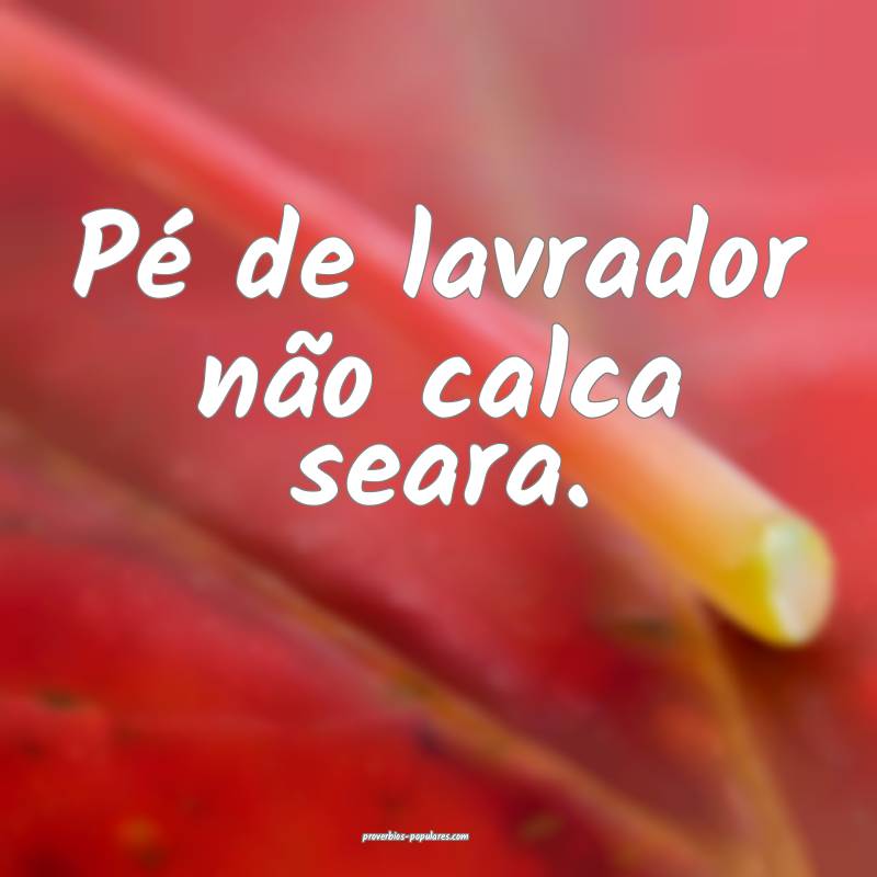 Pé de lavrador não calca seara.
...