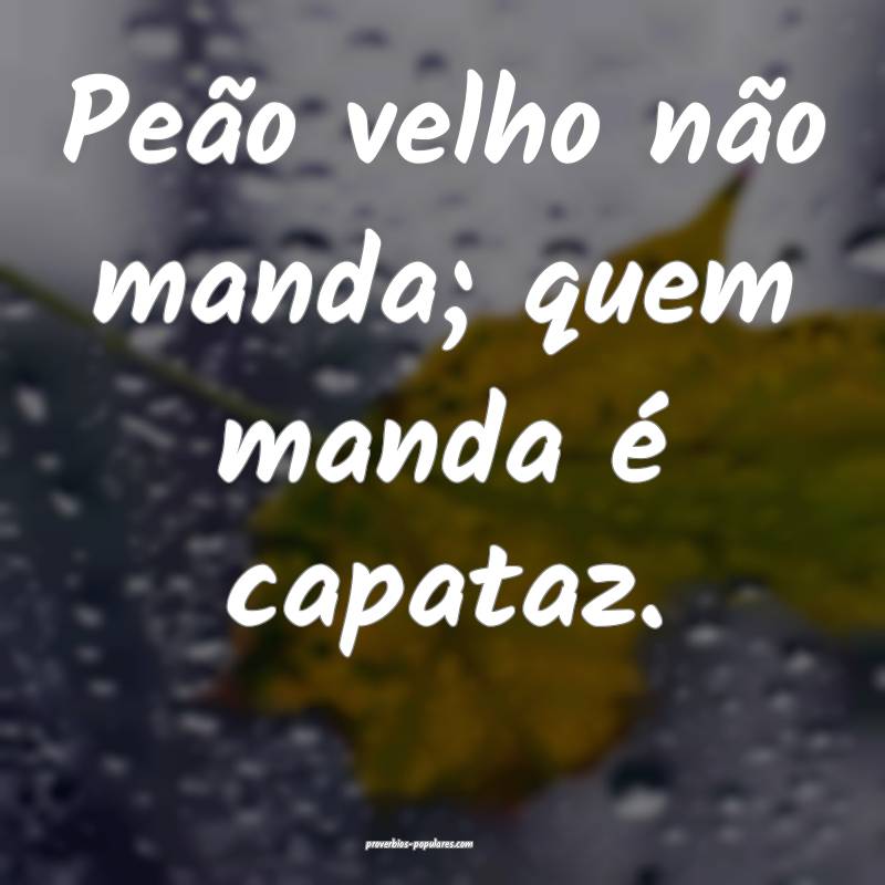 Peão velho não manda; quem manda é capataz.
...